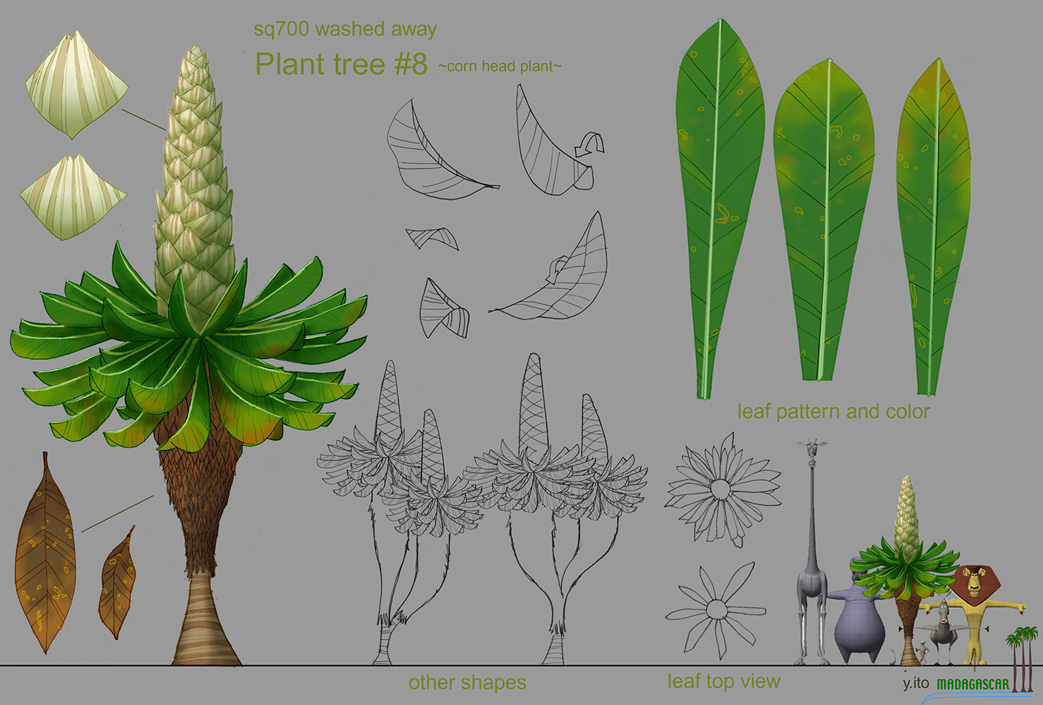 『マダガスカル』植物のテクスチャ資料